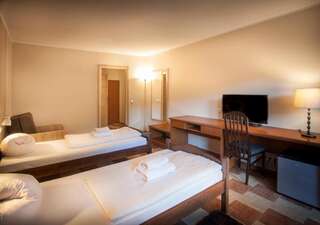 Отель Hotel Las Piechowice Шклярска-Поремба Двухместный номер с 1 кроватью или 2 отдельными кроватями-8