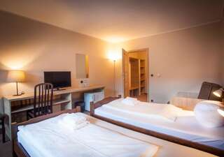 Отель Hotel Las Piechowice Шклярска-Поремба Двухместный номер с 1 кроватью или 2 отдельными кроватями-11